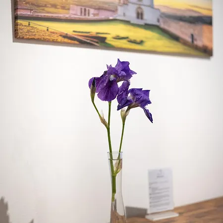 アパート Il Giardino Di Chiara *