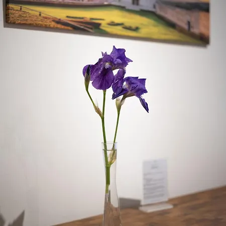 Il Giardino Di Chiara アパート